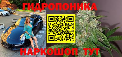 шишки Азнакаево
