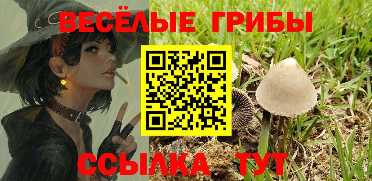 Псилоцибиновые грибы GOLDEN TEACHER Алатырь