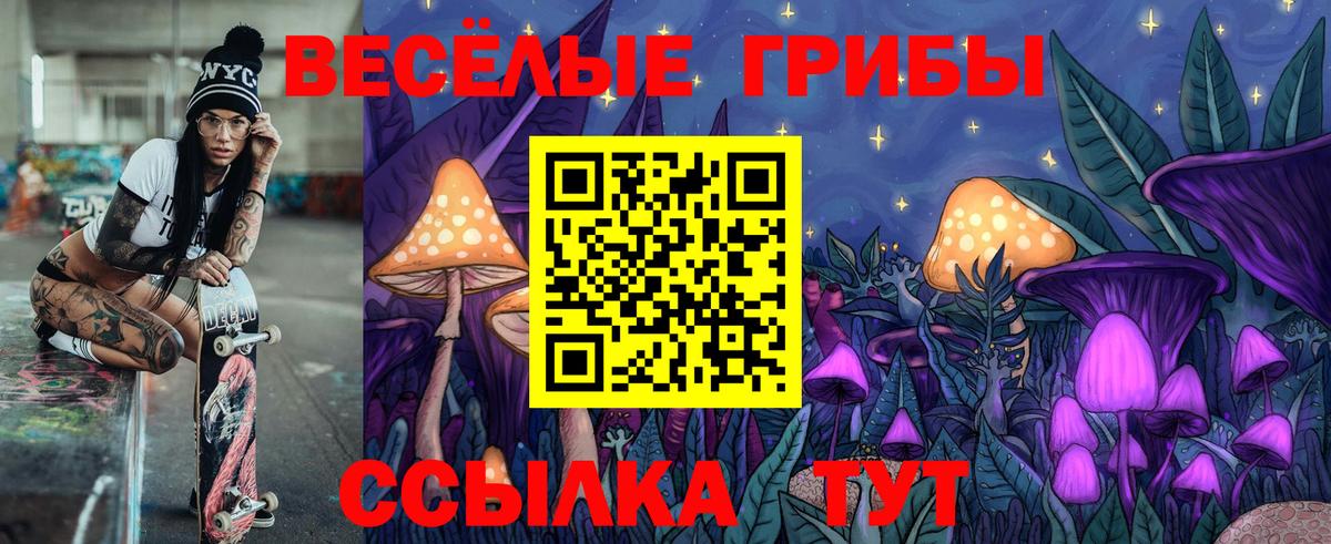 Псилоцибиновые грибы Psilocybine cubensis  Галлюциногенные грибы ЛСД  Алатырь  Вход с VPN 